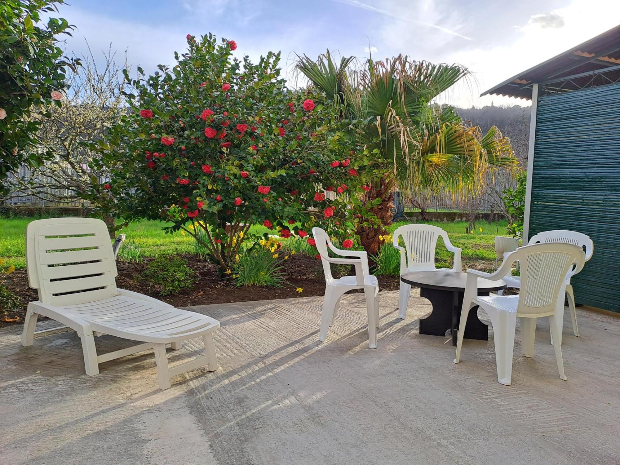 הוילה Carasco Sunny House מראה חיצוני תמונה