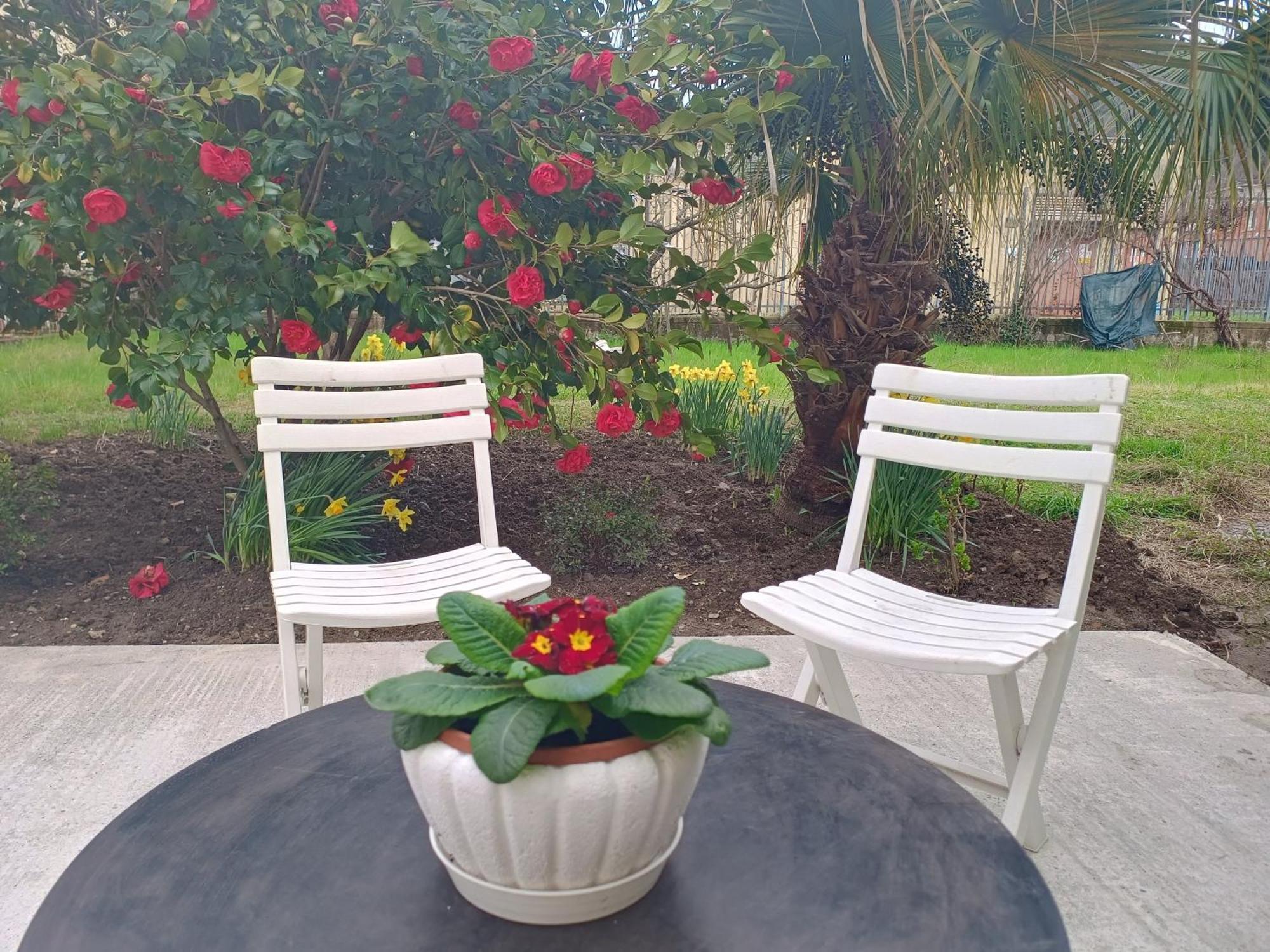 הוילה Carasco Sunny House מראה חיצוני תמונה